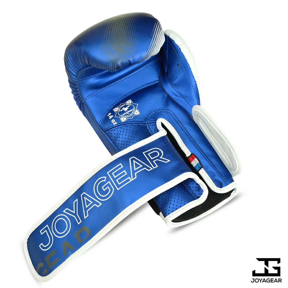 Joya Evolution Boxing Gloves Blue