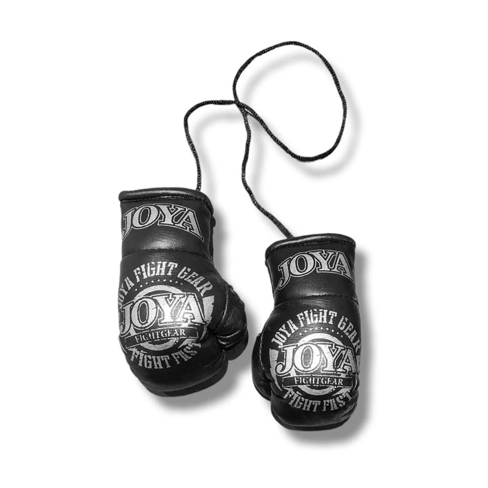 Joya Fight Fast Car Hanger Silver