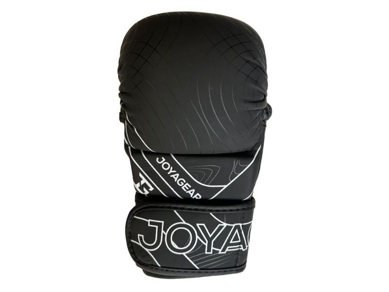 gloves_mma_essential_bw_2.jpg