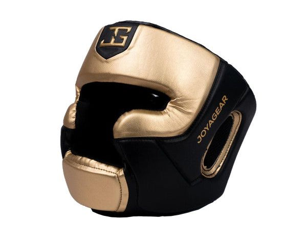 headguard_gold1.jpg