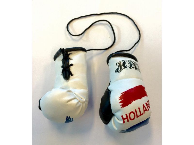 Joya Holland Car Hanger