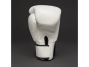 Joyagear SIAM Kickboxing Gloves white