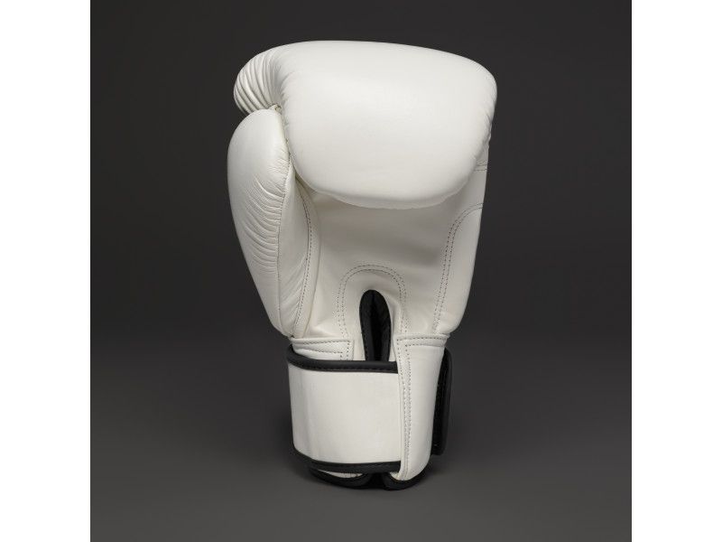 Joyagear SIAM Kickboxing Gloves white