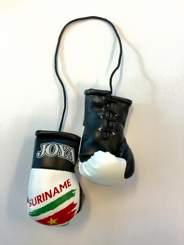 Joya Surinam Car Hanger